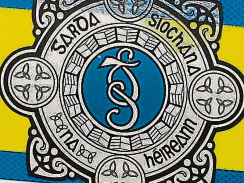 Mountmellick woman ordered to make donation after abusing gardaí when car was seized