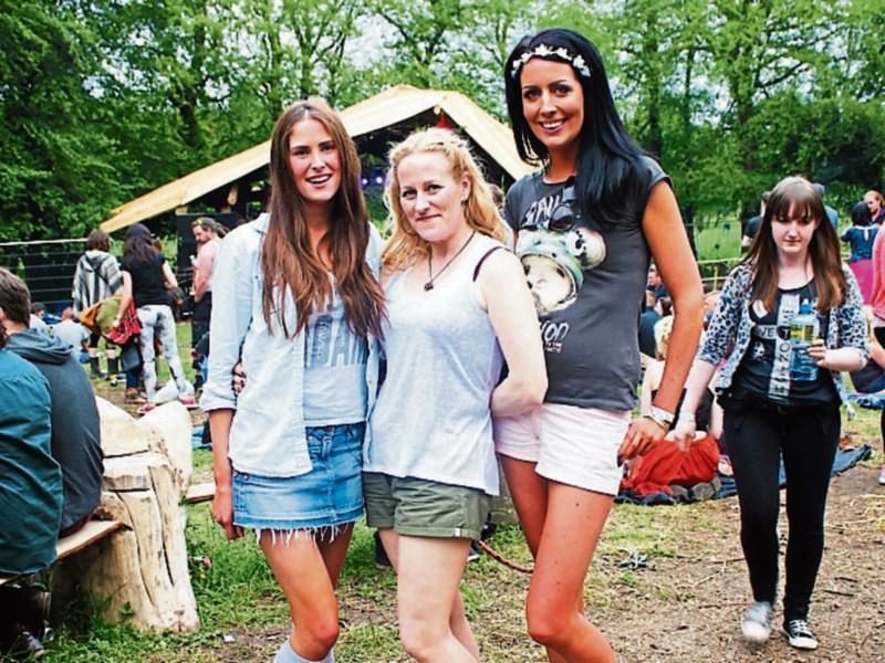Portarlington's Bare in the Woods wins Best One Day Festival