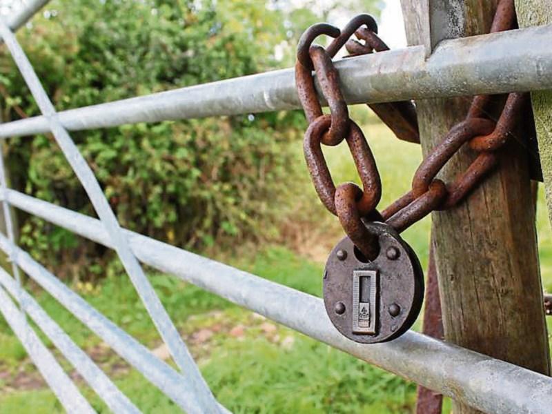 What will our Our Rural Ireland blueprint unlock the potential of Laois and Offaly?  