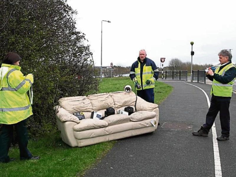 Dogs fouling in the cemetery 