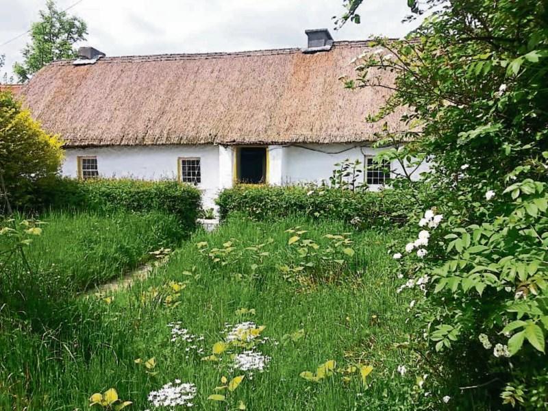 Quaint thatched cottage near Port goes up for auction