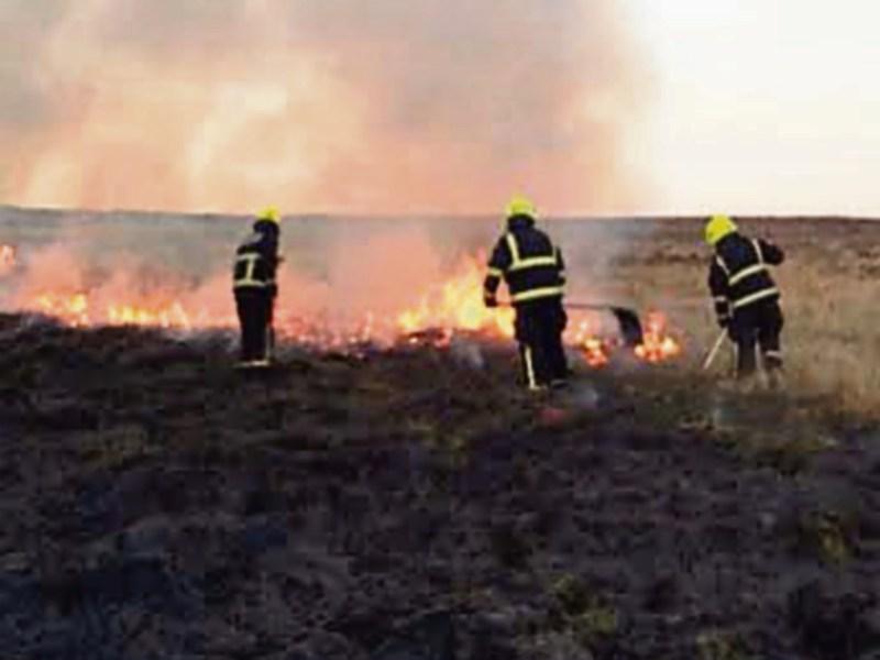 Inaction on wild fires sparking anger and frustration - IWT