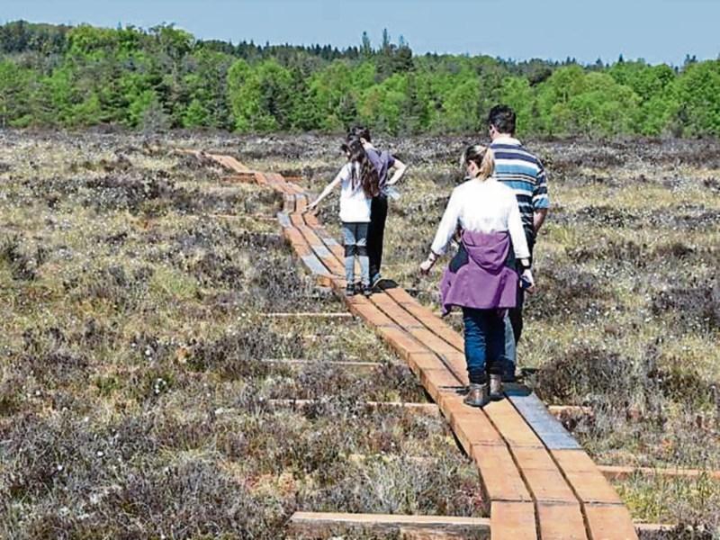Dynamic Abbeyleix in Laois becomes a model town for landscape