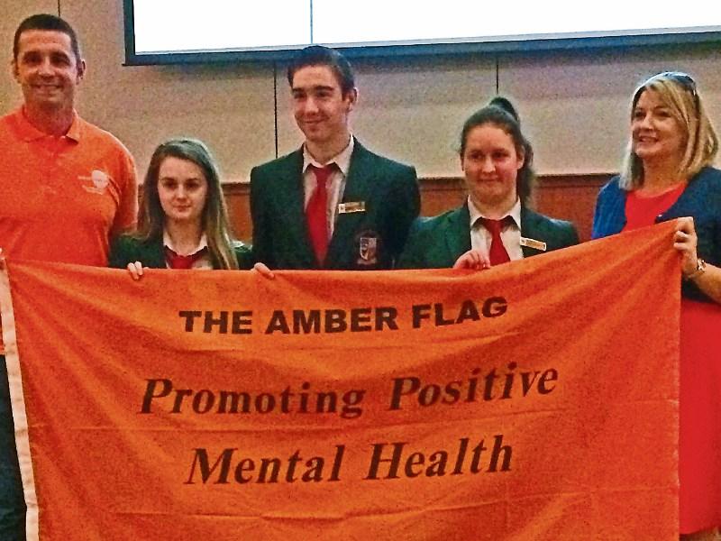 Triple awards for Portlaoise College activities