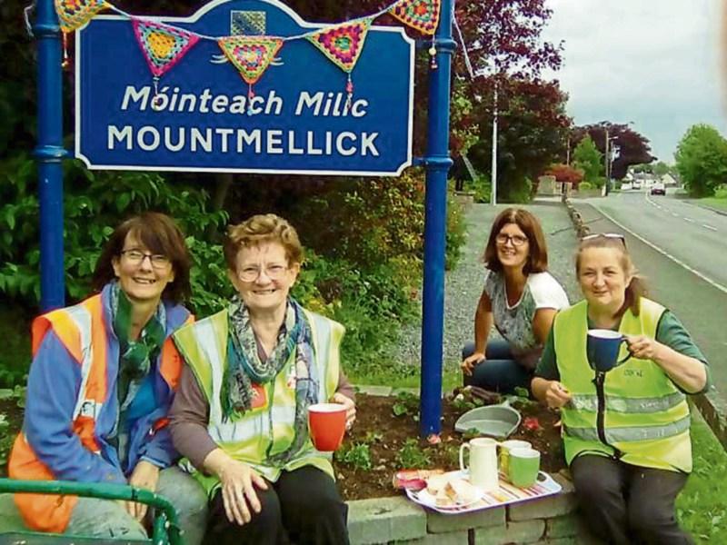Community spirit in Mountmellick blossoms in support of Tidy Towns efforts