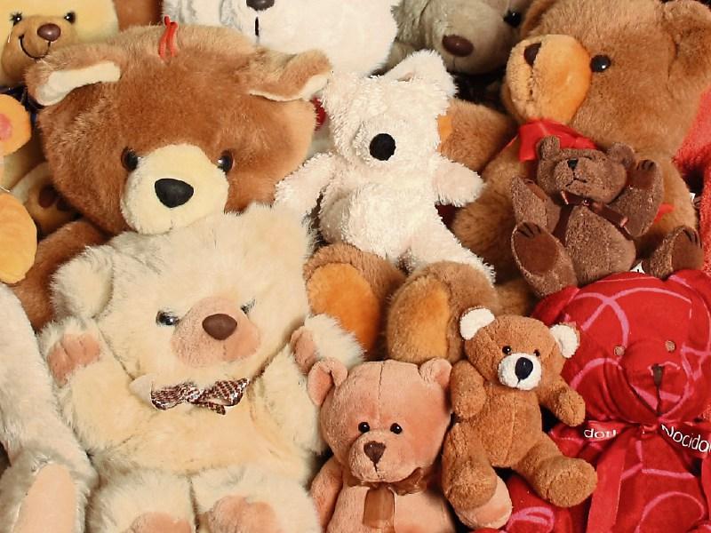 Teddy Bear Sleepover Portlaoise library