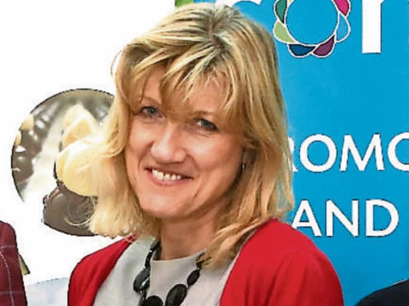 Just five suicides were officially recorded in Laois over a year, but it is below real figure the HSE suicide officer believes
