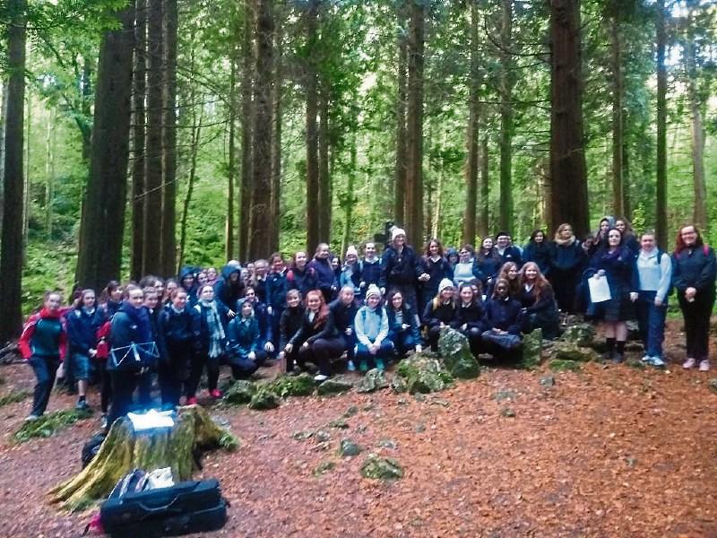 Woodland Mass for Scoil Chriost Ri Portlaoise 6th years