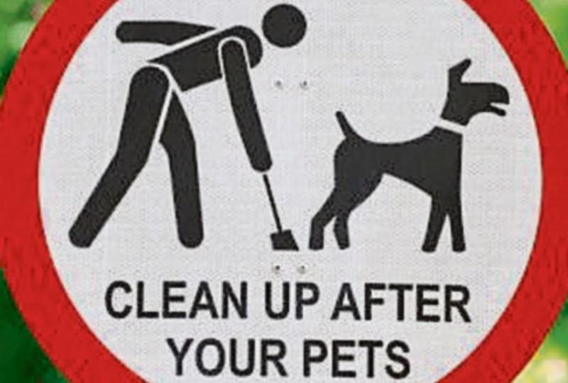 Dog fouling