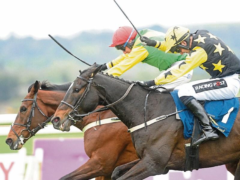 THE PUNTER'S EYE: Punchestown Day 1 Tips and Preview 