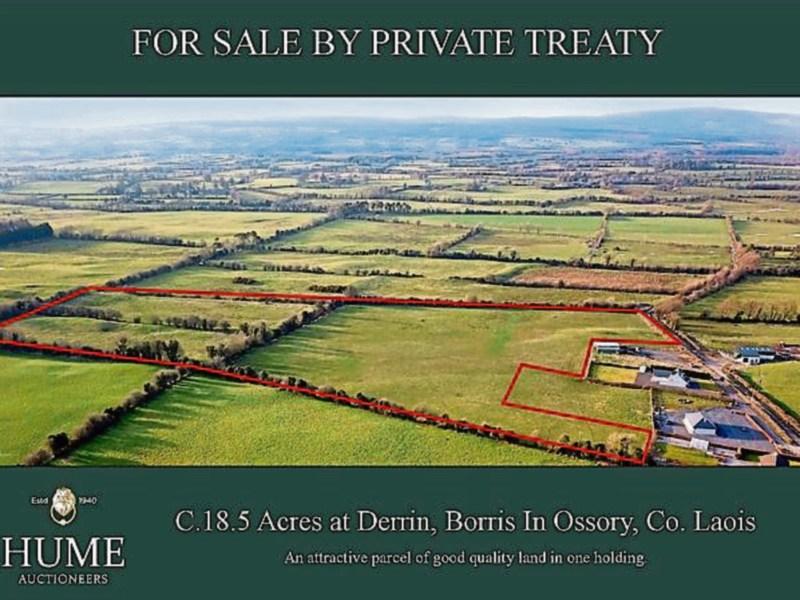 Laois Property: Top quality land for sale