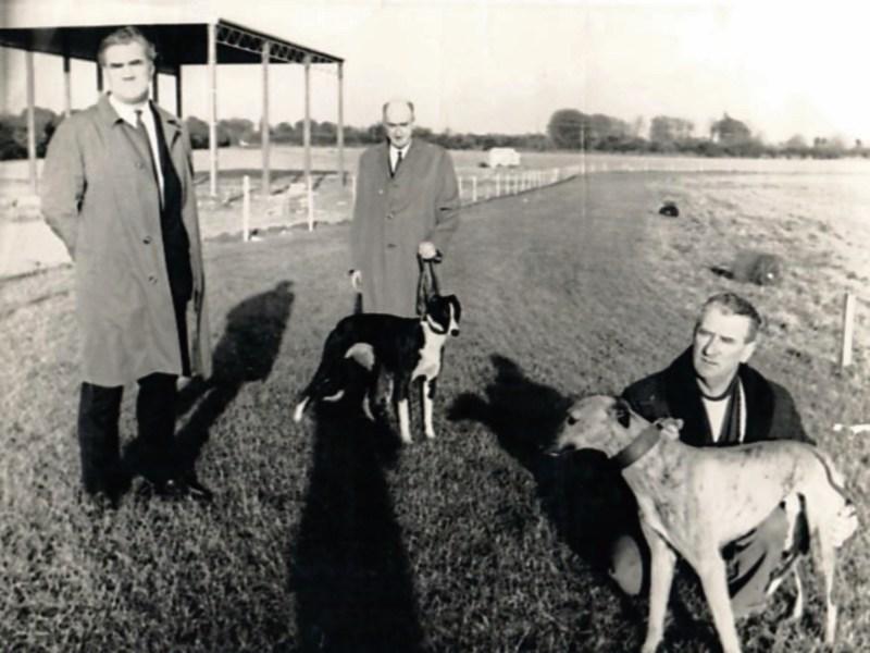 Newbridge Greyhound Stadium to celebrate 70 years of racing