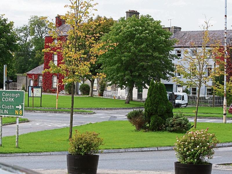 Stones falling from wall in Laois village