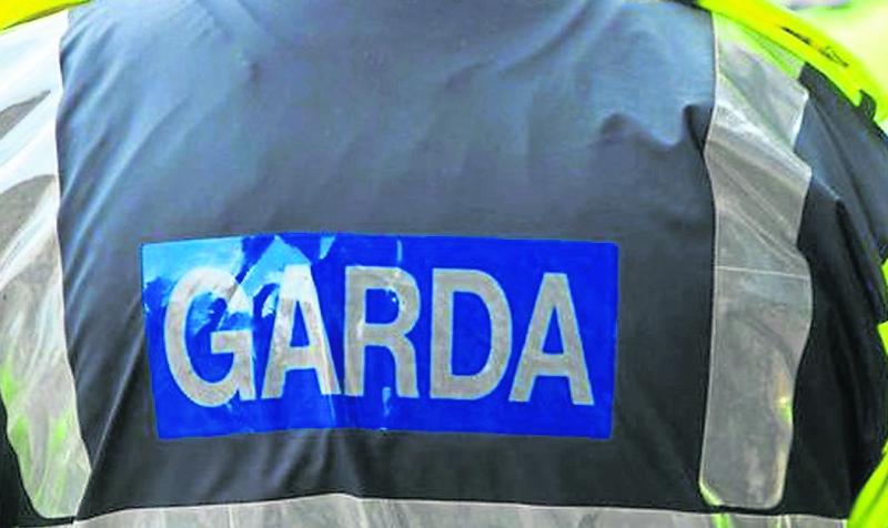 Called female Garda a 'f****** b****' in Laois town 