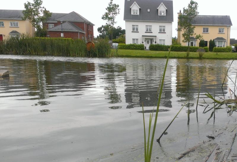 Three Portlaoise housing estates to receive money to prevent flooding