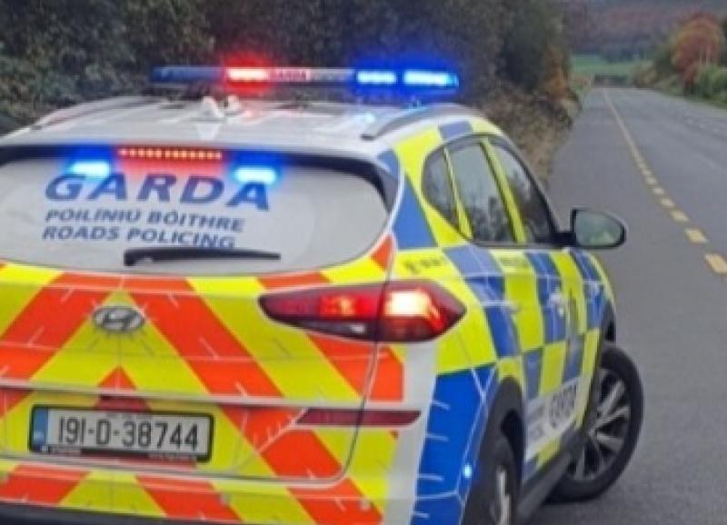 Gardai appeal for witnesses after car damaged in village in Offaly
