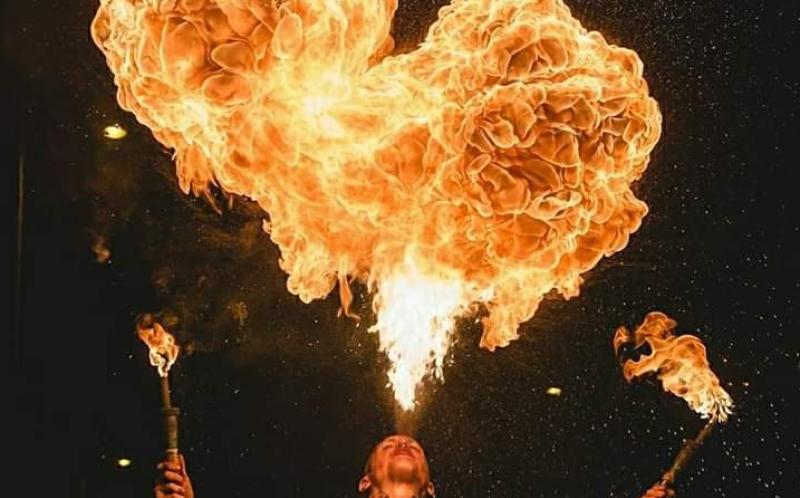 Forest Fest is set light up Laois this summer