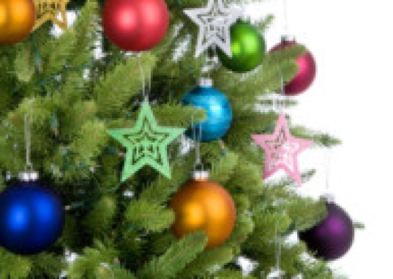 Mountrath Scouts Christmas tree appeal