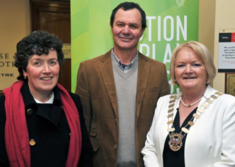 Anne Goodwin, Koos Uys and Mary Sweeney at last Tuesdays Dept of Jobs, Enterprise and Innovation meeting held in the Portlaoise Heritage Hotel.