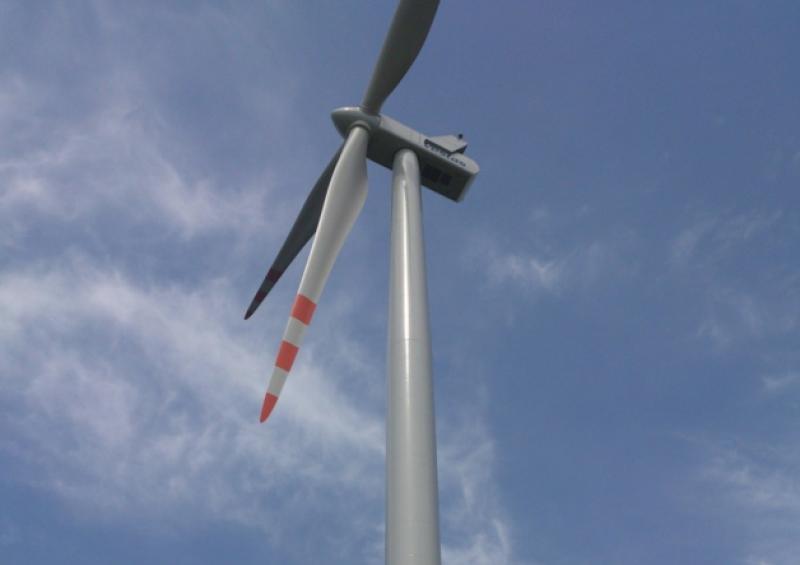 Senator Whelan visits a wind farm in Poland