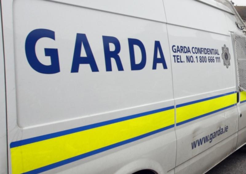 gardaí crime arrests pornography