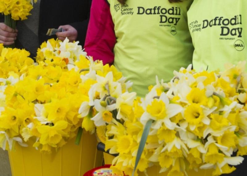 Appeal for Longford people to support Daffodil Day