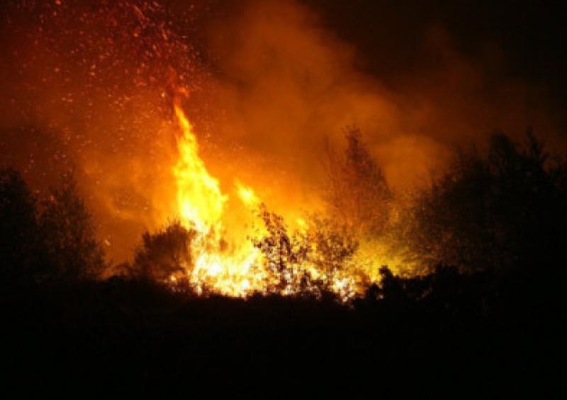 Laois councillors demand amnesty on sudden ban of agricultural burning