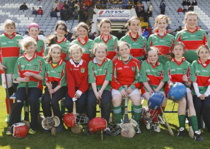 Castlecuffe who defeated Ratheniska in the Girls Division 4 final.Picture: Alf Harvey/hrphoto.ie
