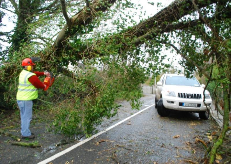 Some of the recent storm damage in Bruff