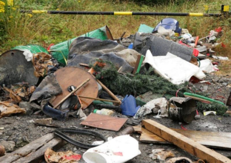 The waste that was dumped on the Vicarstown to Ballybrittas Road on Monday night July 22 .             Photo: Michael Scully .