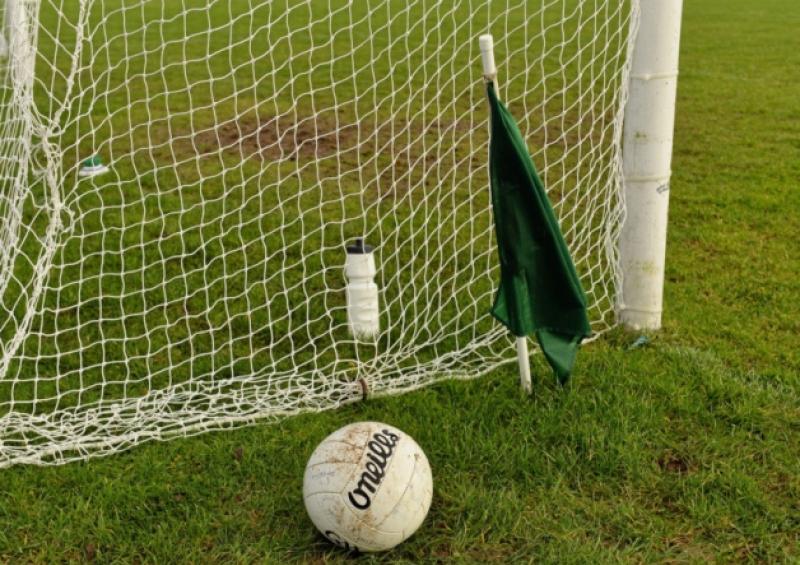 Laois Ladies football club suspend club activity