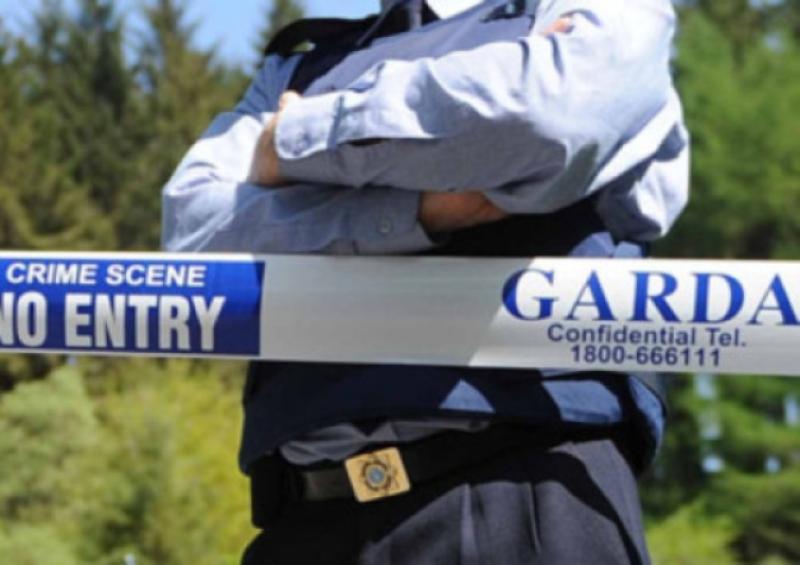 Gardai seize 11 vehicles from dealership as part of money laundering investigation