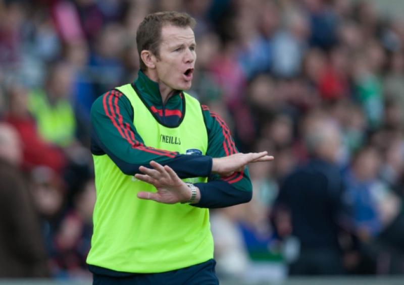 Rathdowney Errill manager Conor Gleeson calls the shots against Camross in the Laois Shopping Centre Laois SHC final at O'Moore Park.Picture: Alf Harvey/HRPhoto.ie
