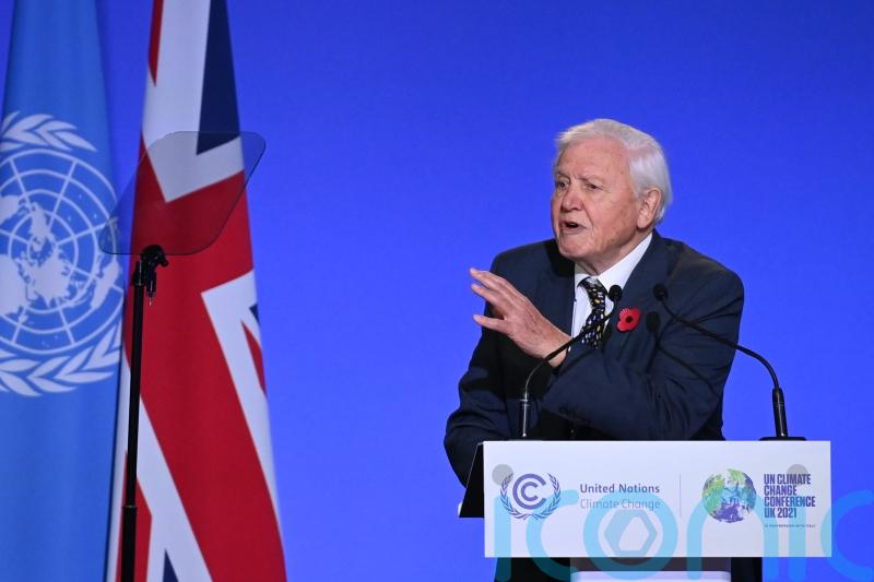 Sir David Attenborough stabbed by ‘dangerous’ cactus while filming new series