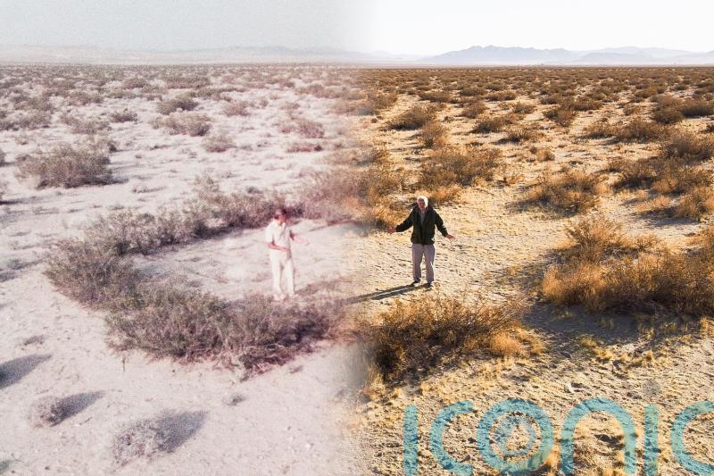 The Green Planet: Attenborough returns to visit 'extraordinary' desert plant he filmed 40 years previously