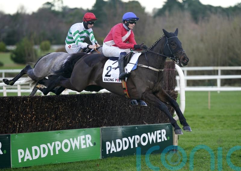 Big blow as Arkle favourite Ferny Hollow is ruled out of Cheltenham
