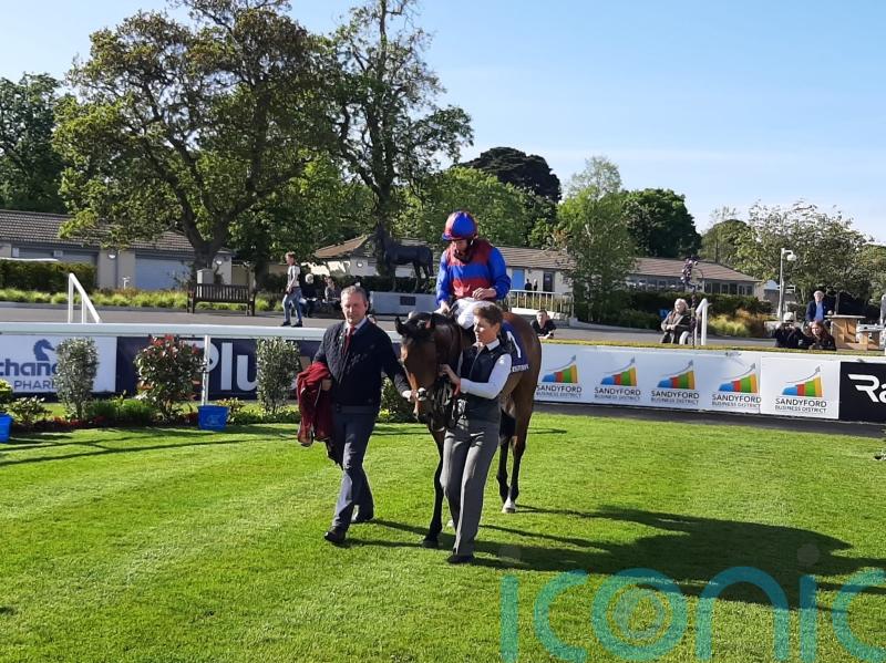 Alfred Munnings impresses in winning debut at Leopardstown