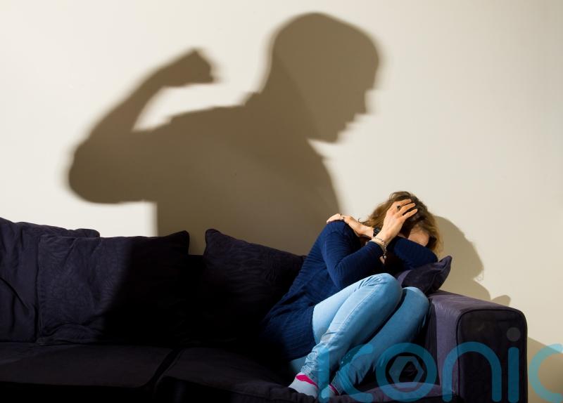 Government rubberstamps Bill allowing paid leave for domestic violence victims