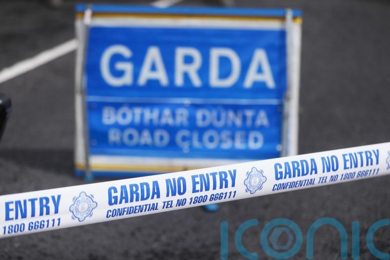 Gardai appeal for information about two vehicles in shooting probe