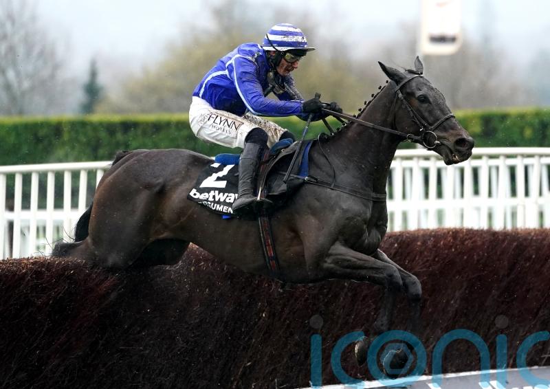 Cork card gets the go-ahead as track passes inspection for Energumene return