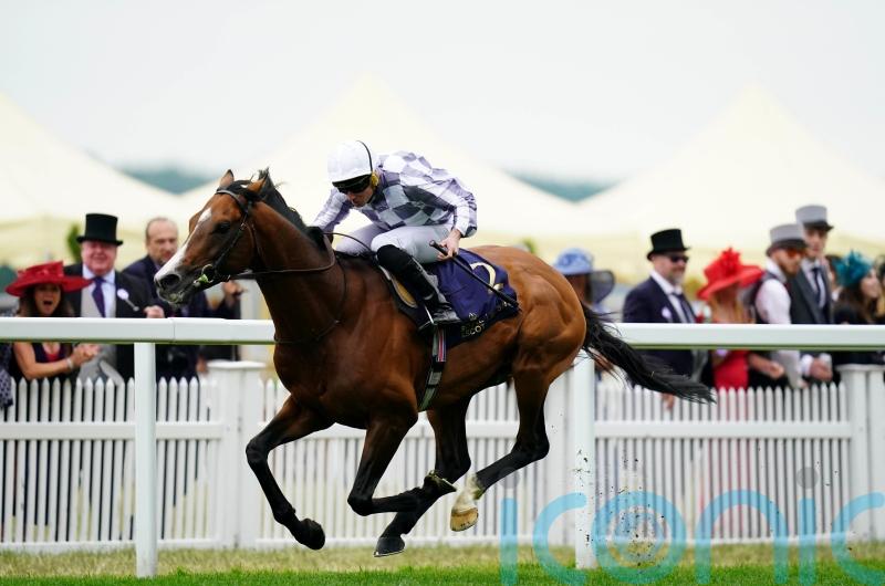 Ascot up next for Dubai Gold Cup hero Broome