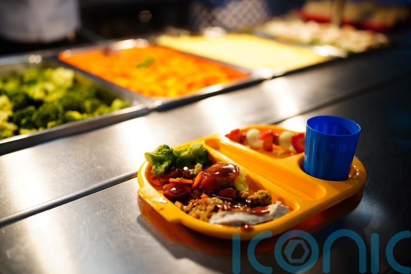 ‘Logistical complications’ to school meals during holidays
