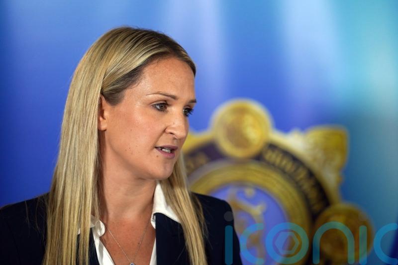 Social media ‘a dark place’, says McEntee as politicians urged to report threats