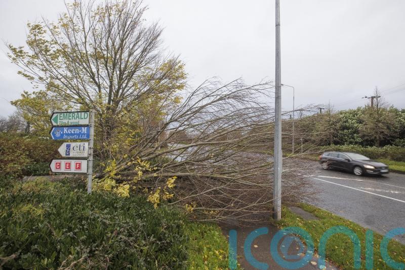 Woman taken to hospital after being hit by Storm Debi debris