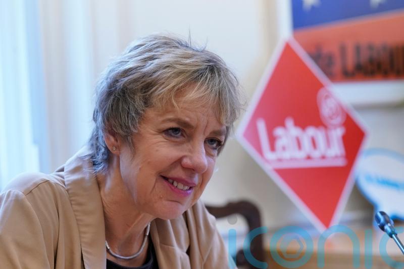 Bacik says Labour-Social Democrats merger ‘possible’