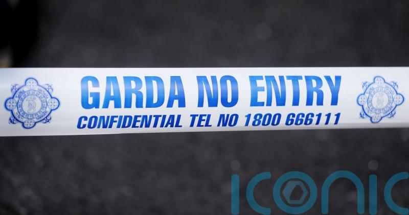 Man assaulted in Co Tipperary dies in hospital