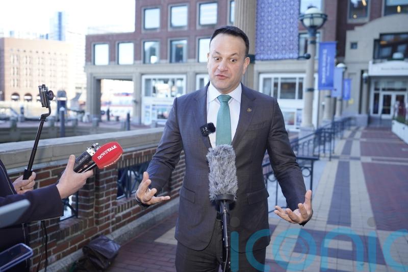 Varadkar questions &lsquo;wisdom&rsquo; of coalition TDs voting against referenda