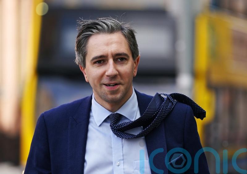 Simon Harris: A savvy politician who has long eyed the role of Irish premier