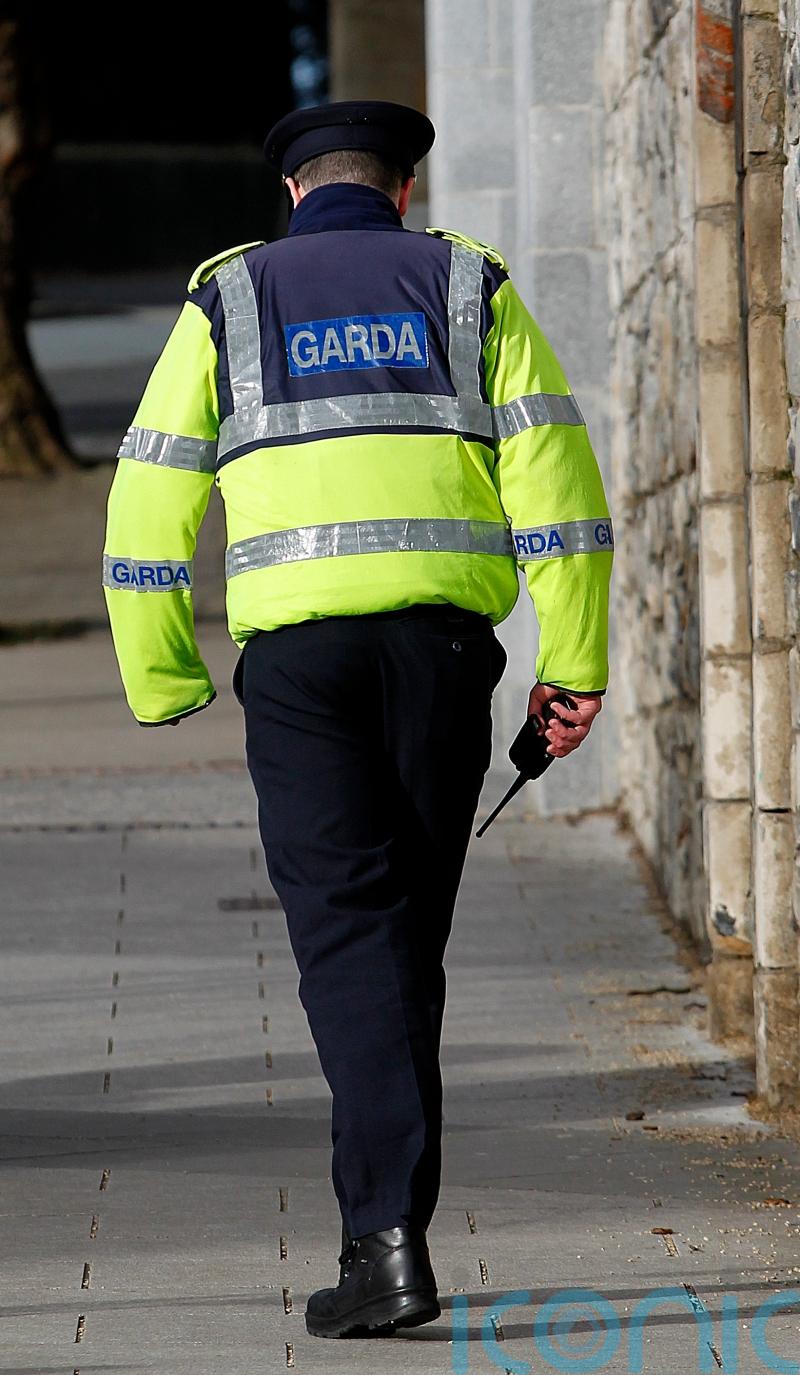 Gardai urged to develop new policy on addressing racial profiling