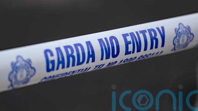 Man arrested over apparent attempt to abduct toddler in Dublin
